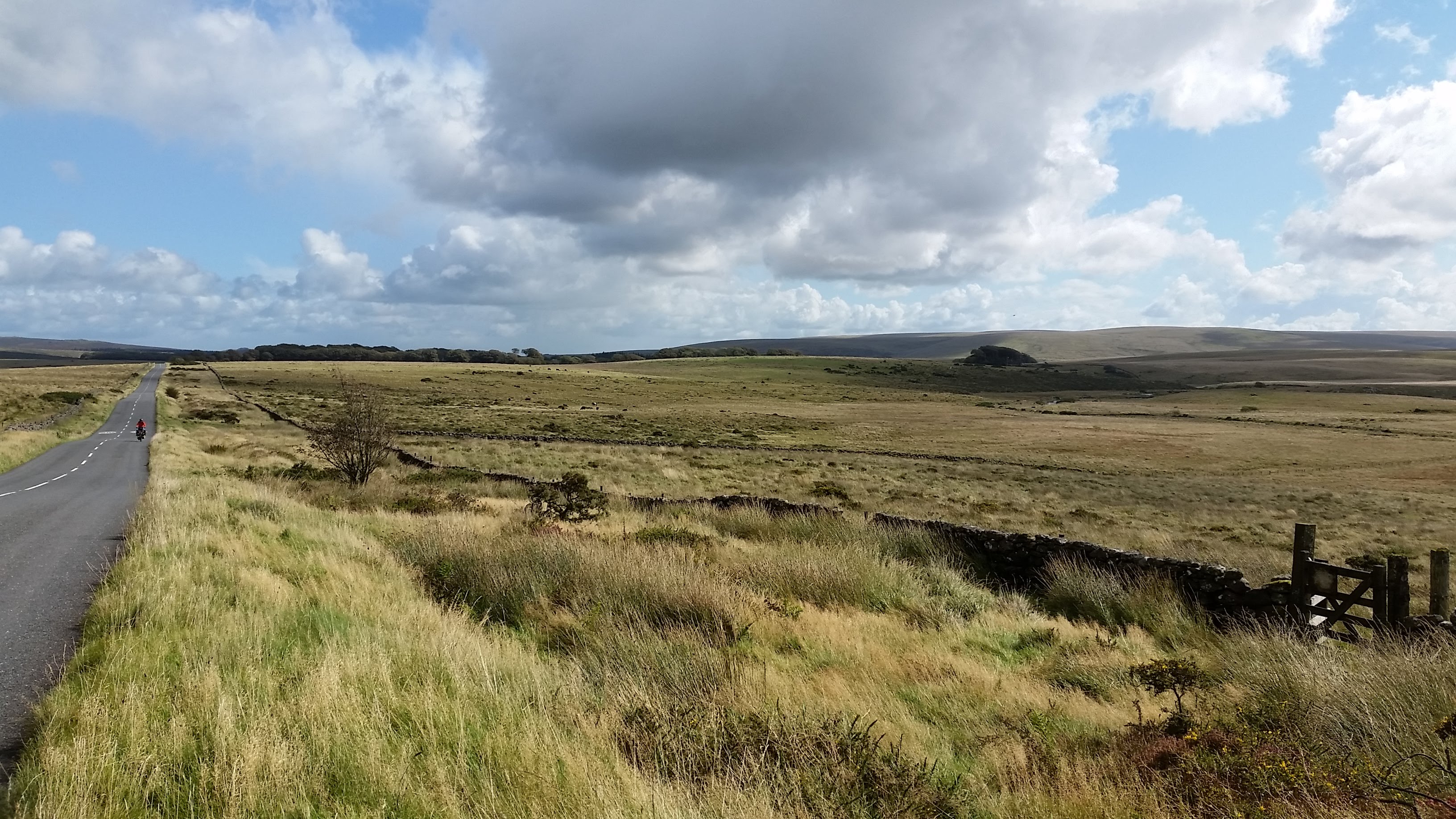 5. Dartmoor